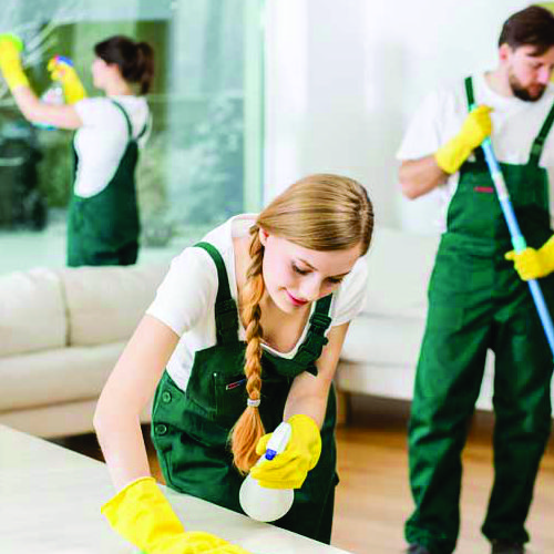 Pristine Clean Deep Cleaning Services